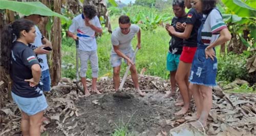 Cerca de 70% das nascentes em Alagoas estão em processo de degradação
