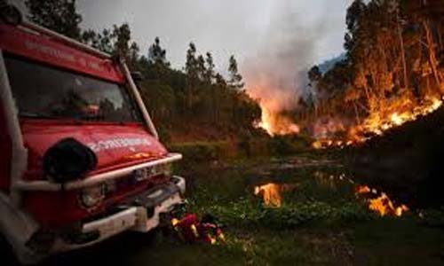 Mais de 2.400 bombeiros combatem incêndios florestais em Portugal em meio a onda de calor extrema