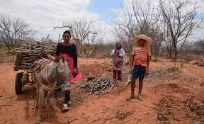 Vitória de Haddad no Nordeste estimula ataques a nordestinos no Twitter