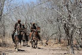 Dia do Nordestino - Parabéns e os respeitos deste noticioso a brava gente de nossa região