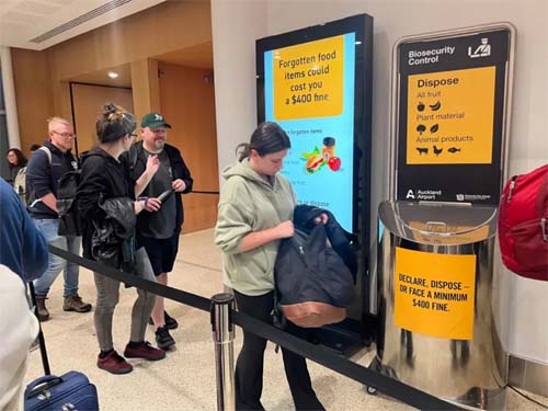 Ascensão da Emigração na Nova Zelândia: Um Sinal de Mudança Econômica