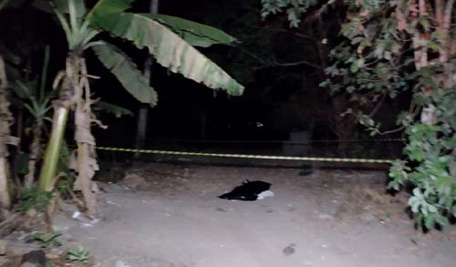 Em Taquarana, briga familiar termina com um irmão morto e outro ferido