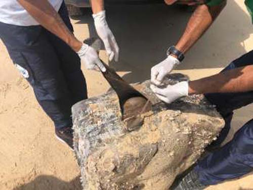 Marinha nega que volumes misteriosos tenham surgido a partir de naufrágios