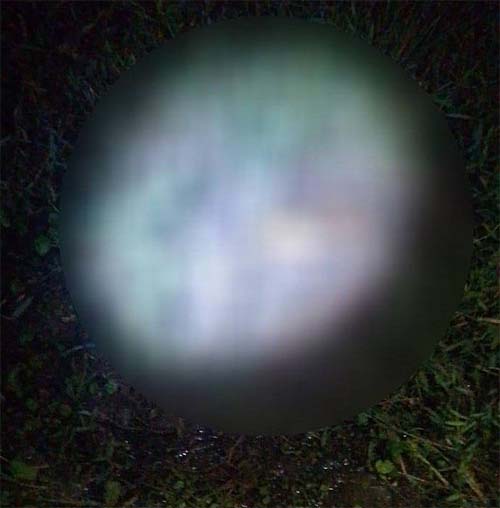 Homem preso por tráfico confessa participação em homicídio e revela que ocultou cadáver