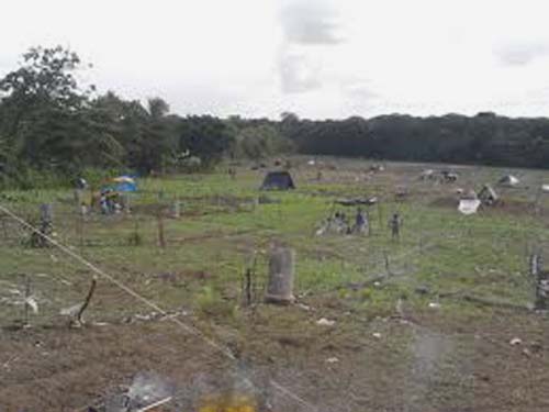 Em protesto, cerca de 120 famílias ocupam terras da Usina Laginha