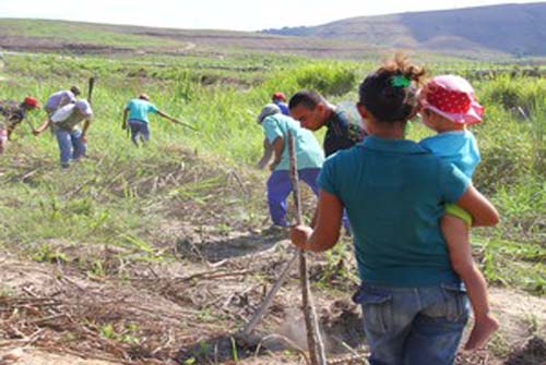 Mais três fazendas da usina Laginha são ocupadas em Alagoas
