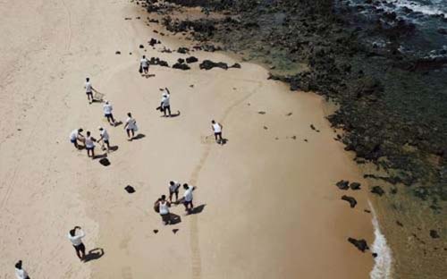 Prejuízo com vazamento de óleo será de bilhões, segundo o Ibama