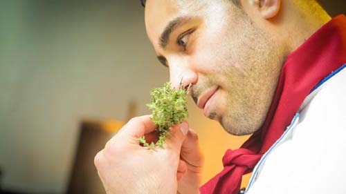 Perda de olfato pode indicar infecção pelo novo coronavírus