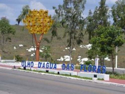 Corpo de Jovem é encontrado em matagal com perfuração de tiro em Olho D’água das Flores