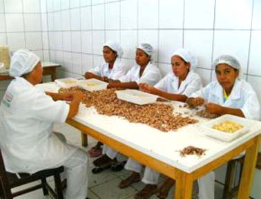 Municípios
