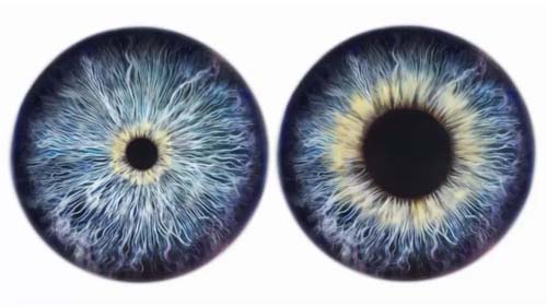 O que os olhos podem revelar sobre a saúde