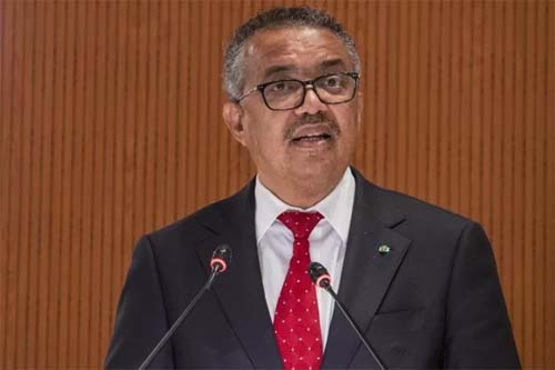 Pandemia da covid-19 