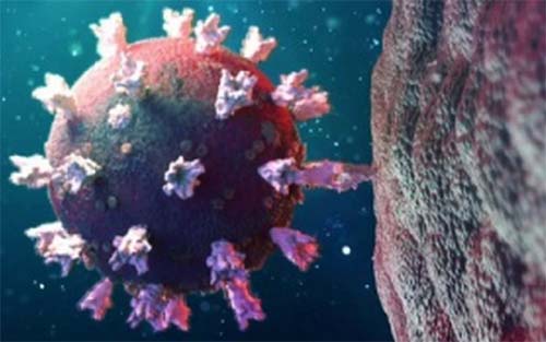 Alagoas registra primeiro caso da subvariante BQ.1 da Ômicron