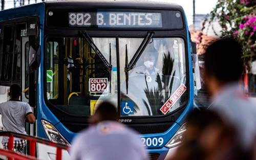 Projetos de lei garantem 