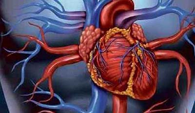 Microrrobôs levam medicamentos a partes específicas do corpo humano