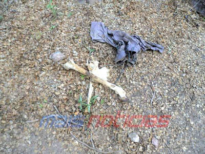 Polícia encontra restos de ossada humana na zona rural de Delmiro Gouveia