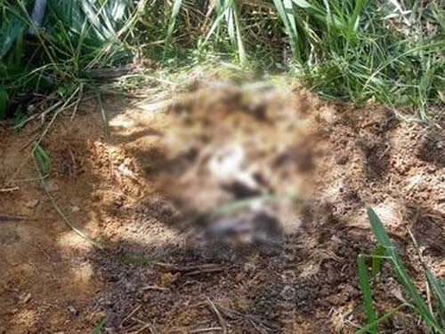 Ossada humana é encontrada em Boca da Mata