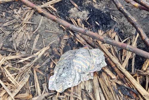 Ossada humana é encontrada na zona rural do município de Teotônio Vilela