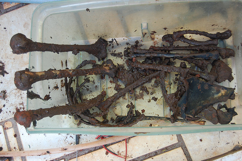 Duas ossadas de mulheres foram encontradas na Barra de São Miguel 