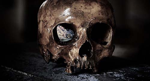 À beira da morte: estudo tenta revelar mistérios do 'outro lado' da vida