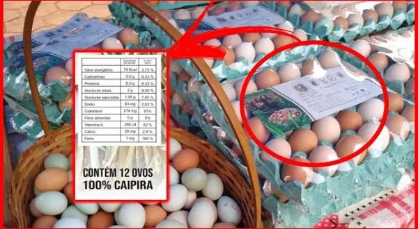 Ovos vendidos sem rótulo vão precisar ter carimbo de validade na casca