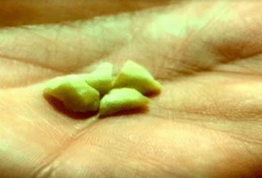 Droga devastadora se espalha pelo Brasil