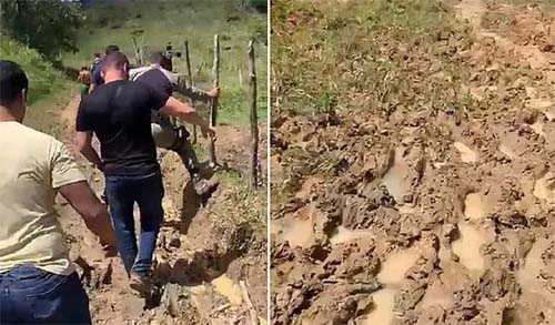 Júri reconhece insanidade mental de pai que matou filho com deficiência durante surto em Alagoas