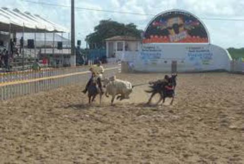 Incêndio em parque de vaquejada mobiliza bombeiros em Pilar; veja vídeo