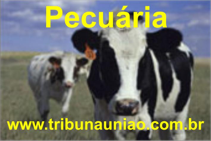 Agricultura