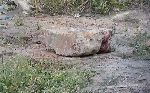 Corpo de homem é encontrado em galpão no Santos Dumont