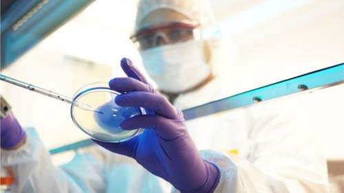 Por que 84 mil pesquisadores do CNPq podem ficar sem bolsa a partir de outubro