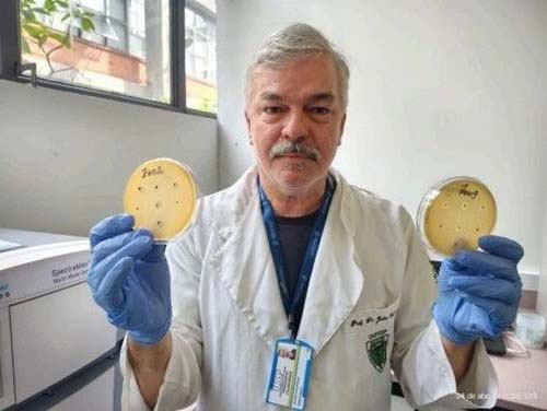 Pesquisa no Brasil identifica mais de 60 vírus que eliminam bactérias resistentes a antibióticos