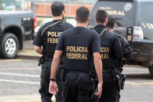 Operação da PF em Alagoas combate tráfico de drogas via postal