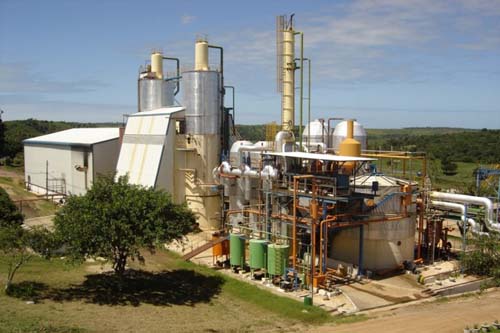 Pindorama já processou 584 mil toneladas de cana