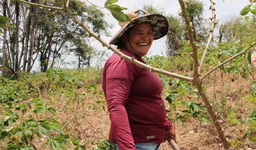 Crescimento Econômico no Interior de Alagoas Supera a Capital, Revela Estudo do IBGE