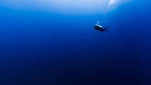 Aquecimento global: Planeta Azul ficará ainda mais azul à medida que Terra esquenta