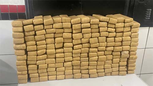 Polícia Encontra 140 kg de Maconha Escondidos em Área de Mata no Guarujá (SP)