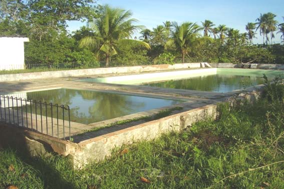 Moradores de Porto Calvo culpam prefeitura pelos casos de dengue