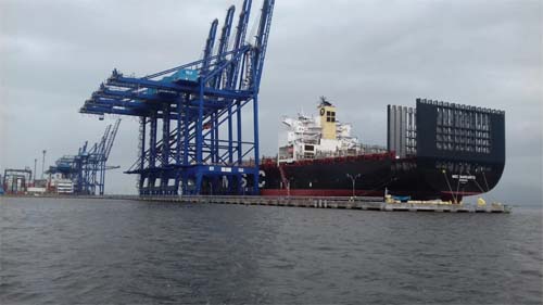 IBGE projeta safra recorde em 2025 com aumento de 10,2% na produção de grãos