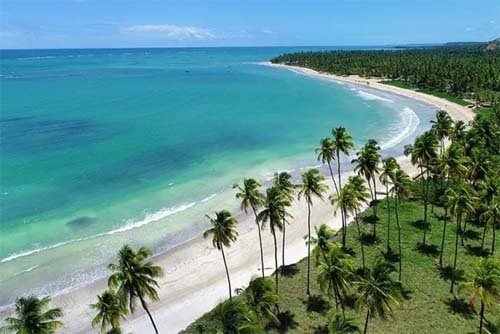 Entenda a PEC das Praias, seus impactos ambientais e como ela pode afetar as praias alagoanas