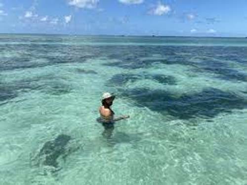 Homem é detido após tentativa de afogamento de gestante na praia de Ponta Verde