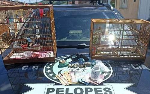 Suspeito de tráfico de drogas e crime ambiental é preso em Novo Lino