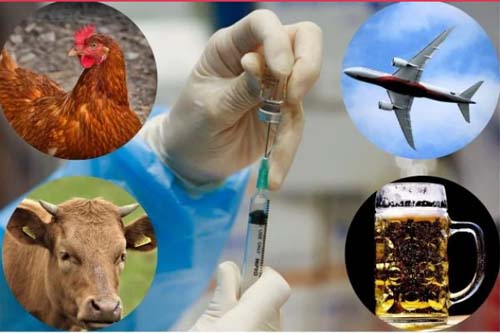 Cerveja, churrasco e maconha. Veja prêmios para incentivar vacinação