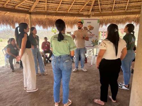 Sesau capacita mais de 900 profissionais para manejo de crises em saúde mental