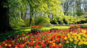 Como será a primavera 2019 no Brasil?