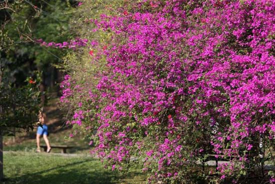 Primavera começa neste sábado com temperaturas acima da média e tempo firme no Sudeste