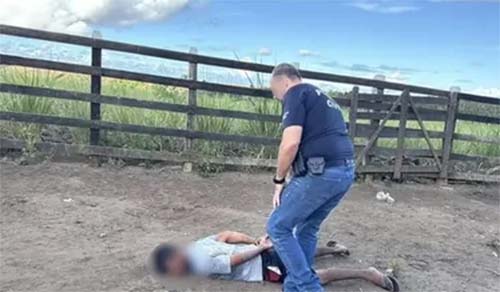 Segundo suspeito de assassinato com foice em Campo Alegre é preso em matagal