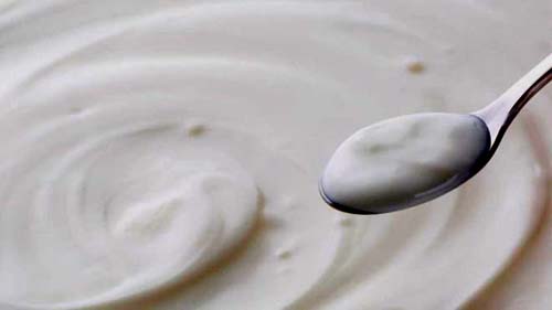 Vale a pena tomar probiótico após tratamento com antibiótico?