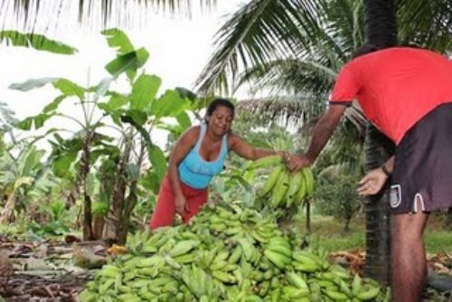 Feira camponesa transforma vida em assentamentos