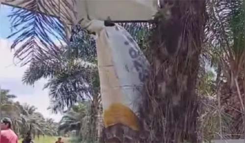 Avião de pequeno porte cai em área de plantação no Pará e duas pessoas ficam feridas